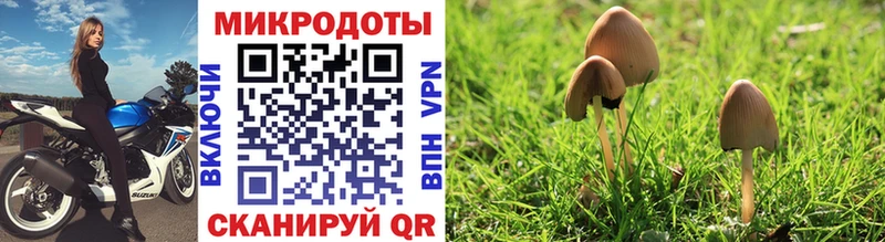 блэк спрут вход  закладка  Пудож  Псилоцибиновые грибы MAGIC MUSHROOMS 